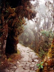 camino-inca-machu-picchu-4-dias